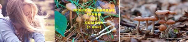 скорость mdpv Гусиноозёрск