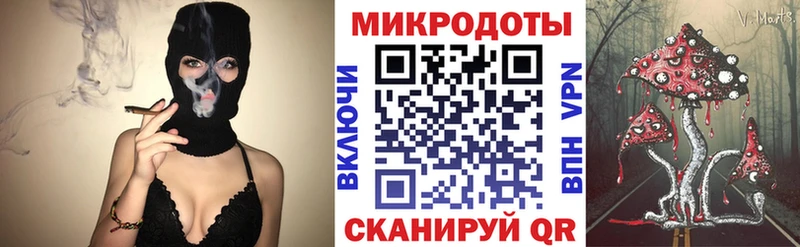 Галлюциногенные грибы Psilocybe  Купить закладки  Мегион 